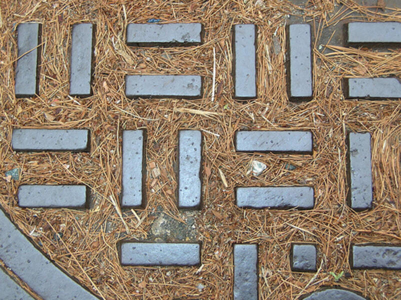 pine needles in a sewer manhole