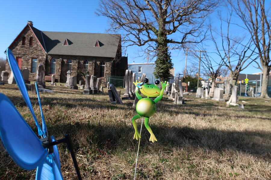 cemetery frog