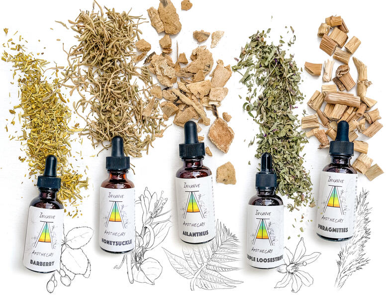 Invasive Apothecary: Heal the Land, Heal Your Body