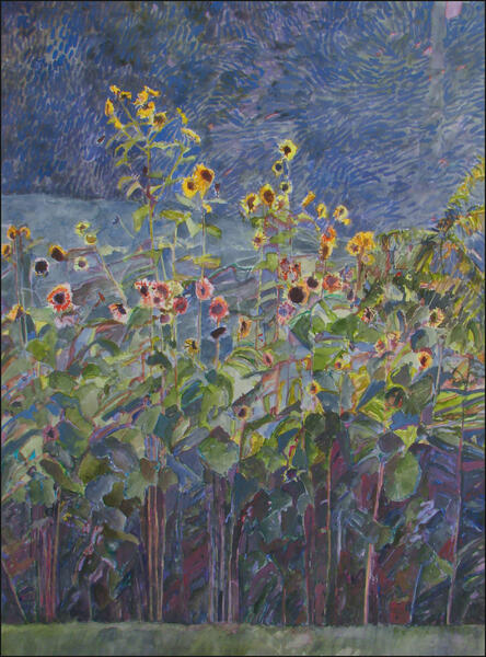 August Sunflowers