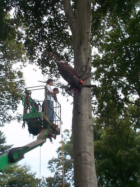 Installing 30 feet up a tree