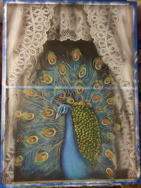 Peacock and Lace