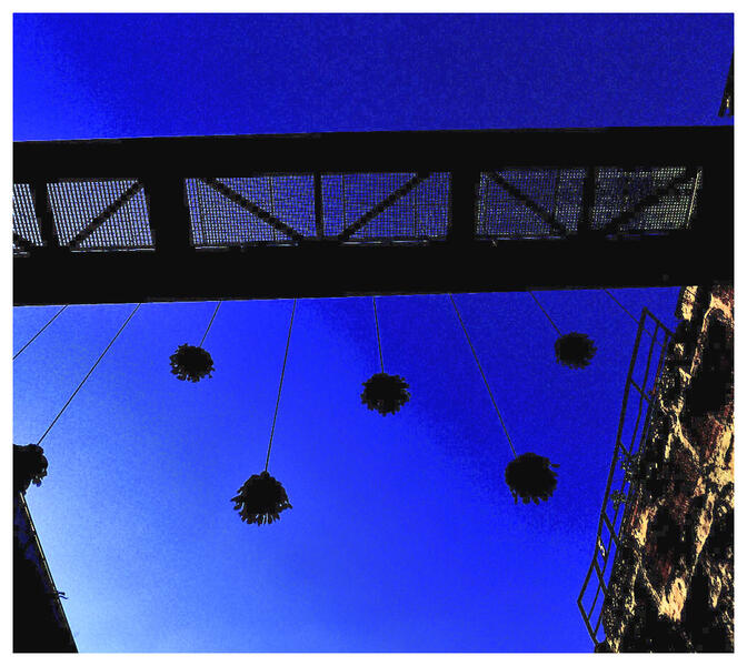 hanging flowers in a steel world