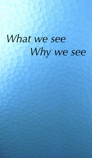 What we see why we see (2013)