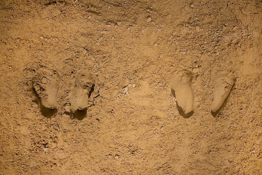 BRINK (footprints)